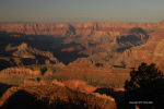 Grand Canyon 29