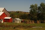 Amish Country 14