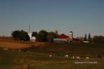 Amish Country 19