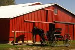 Amish Country 21