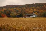 Cloudy Fall Wisconsin Day 2