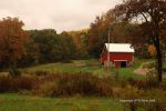 Cloudy Fall Wisconsin Day 5