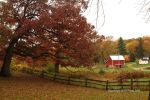 Cloudy Fall Wisconsin Day 8