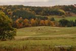 Cloudy Fall Wisconsin Day 12