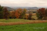 Cloudy Fall Wisconsin Day 14