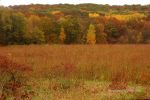 Cloudy Fall Wisconsin Day 18