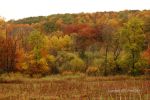 Cloudy Fall Wisconsin Day 19