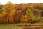 Cloudy Fall Wisconsin Day 20