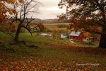 Cloudy Fall Wisconsin Day 24