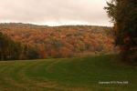 Cloudy Fall Wisconsin Day 33