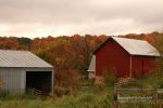 Cloudy Fall Wisconsin Day 39