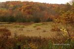 Cloudy Fall Wisconsin Day 43