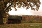 Cloudy Fall Wisconsin Day 44