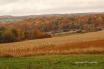 Cloudy Fall Wisconsin Day 48