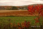 Cloudy Fall Wisconsin Day 49