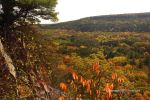 Fall At Devil's Lake 3