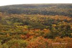 Fall At Devil's Lake 6