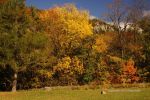 Fall At Devil's Lake 14