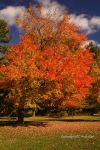 Fall At Devil's Lake 15