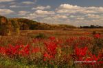 Fall At Devil's Lake 22