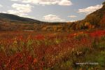 Fall At Devil's Lake 23