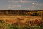 Fall At Devil's Lake 25