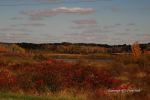 Fall At Devil's Lake 26