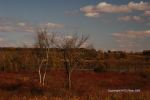 Fall At Devil's Lake 27