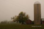 Foggy Farmland Morning 4