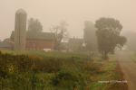 Foggy Farmland Morning 9