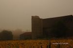 Foggy Farmland Morning 14