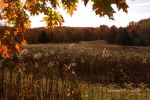 Natural Bridge Park 8