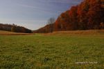 Natural Bridge Park 9