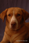 Zuri Portrait Time 37