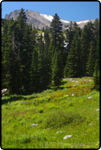 Hiking Brainard Lake 3