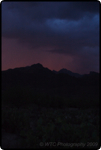 Desert Summer Storms 10