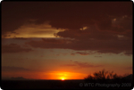 Desert Summer Storms 6