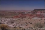 Painted Desert 10