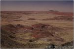 Painted Desert 14