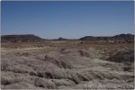 Red Petrified Forest 10