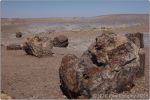 Red Petrified Forest 13