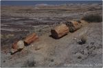 Petrified Forest 27