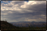 Saguaro East Natl Park 13