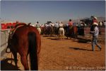 Tucson Rodeo 1