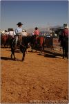 Tucson Rodeo 2