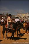 Tucson Rodeo 6