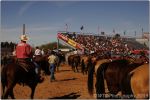 Tucson Rodeo 7