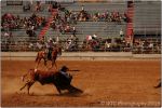 Tucson Rodeo 24