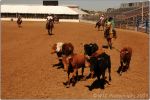 Tucson Rodeo 27