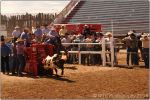 Tucson Rodeo 29